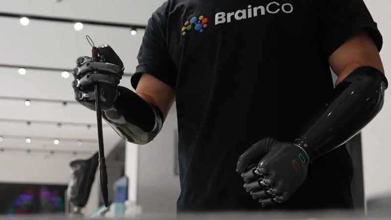 数据湖与AI平台：定义与区别